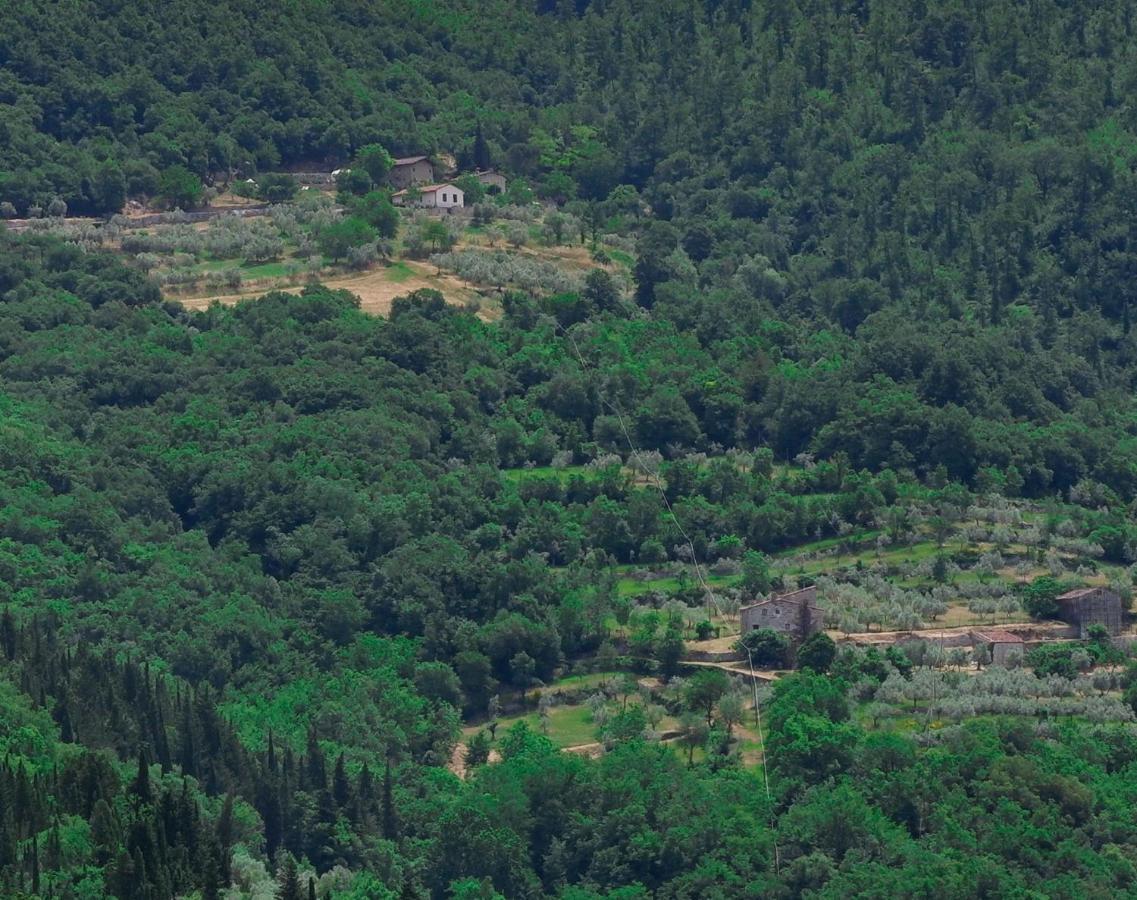 Villa Ancora Tenuta Lonciano Gualdo  Εξωτερικό φωτογραφία